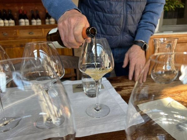 Chianti: Wine and Honey Tasting Half-Day Experience - Exclusive Half-Day Wine & Honey Tour