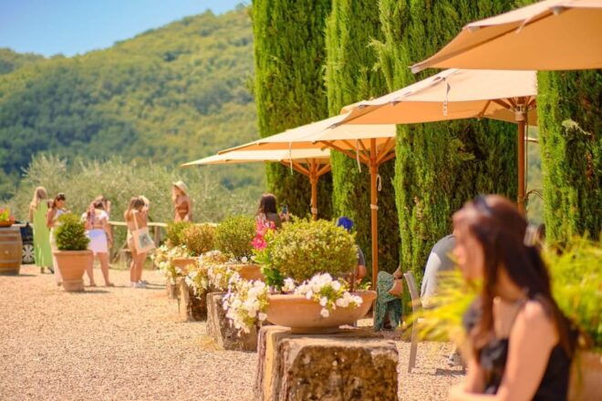 Chianti Wine Region From Florence With Wine Tastings - Wine Tasting Experience