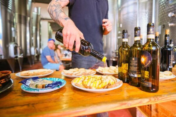 Chianti Wine Region From Florence With Wine Tastings - Group Booking Details