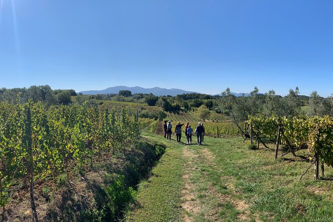 Chianti Wine Tasting Tour From Florence (2 Wineries) - Tour Highlights