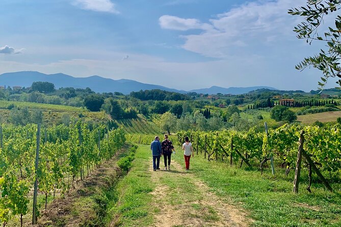 Chianti Wine Tasting Tour From Florence (2 Wineries) - Wine Tasting Experience