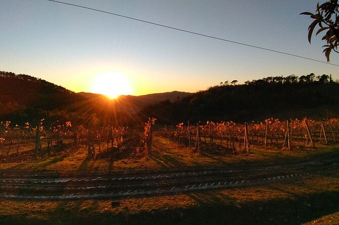 Chianti Wine Tastings at Sunset Day Trip From Florence - Pricing and Booking