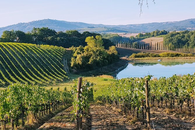Chianti Wine Tastings at Sunset Day Trip From Florence - Sample Menu