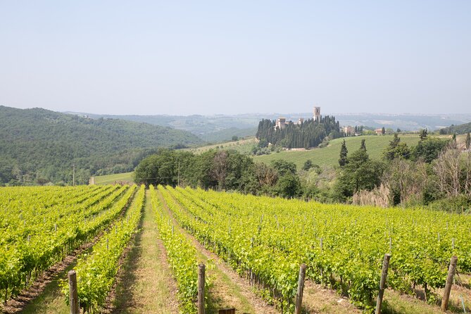 Chianti Wine Tastings at Sunset Day Trip From Florence - Reviews and Cancellations