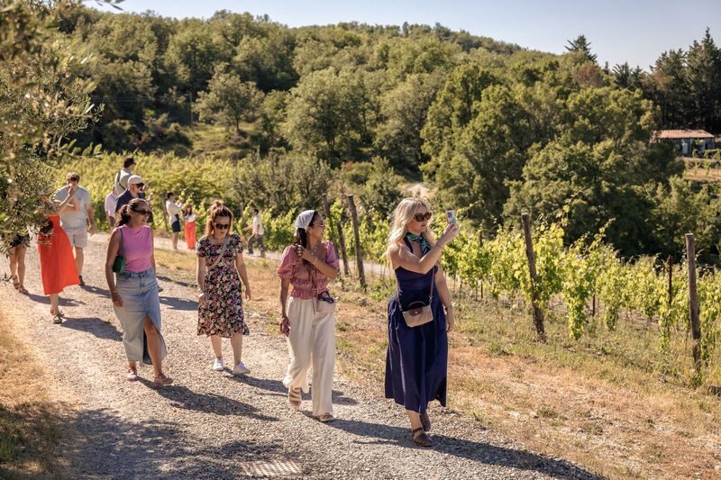 Chianti Wine Tastings Tour with Optional Cooking Experience - Castellina: vineyards, cellars, and a second tasting