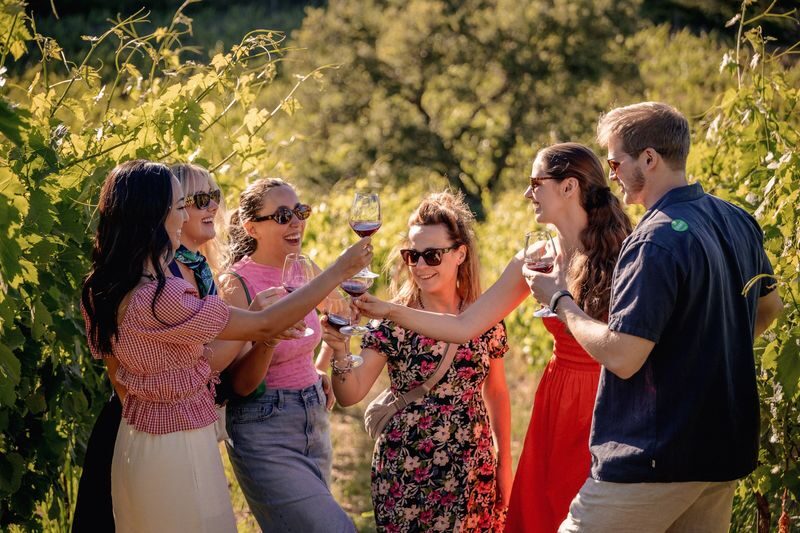 Chianti Wine Tastings Tour with Optional Cooking Experience - What the wine tasting is, and what it isn’t