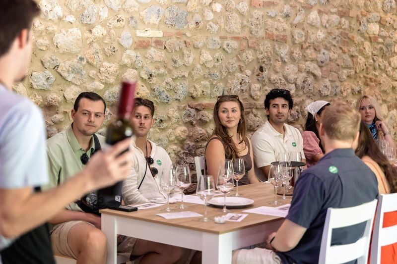 Chianti Wine Tastings Tour with Optional Cooking Experience - Who should book this Chianti outing?