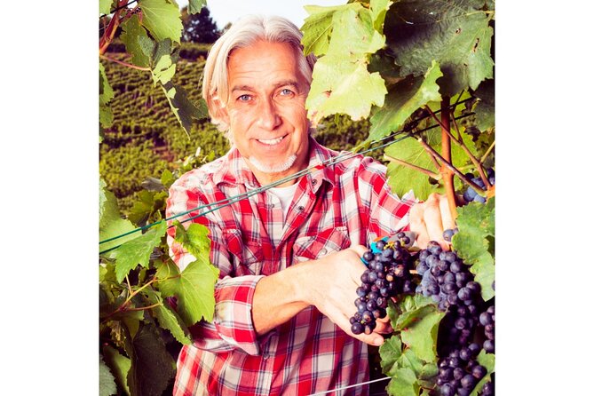 Chianti Wine Tour From Florence to San Gimignano With 2 Wineries - Wine Tasting Experience