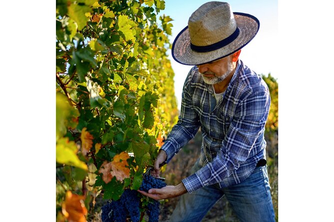 Chianti Wine Tour From Florence to San Gimignano With 2 Wineries - Pricing and Group Size