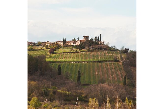Chianti Wine Tour From Florence to San Gimignano With 2 Wineries - Customer Reviews and Ratings