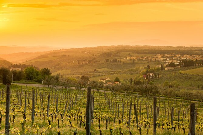 Chianti Wine Tour From Florence to San Gimignano With 2 Wineries - Additional Information