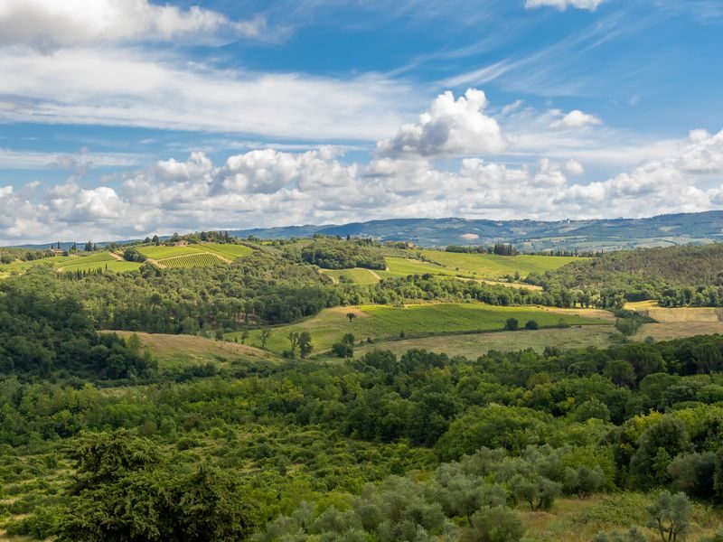 Chianti Wine Tour from Florence with Tastings - Leaving Florence for the vines