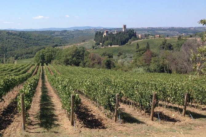 Chianti Wine Tour - Private Wine Experience in Tuscany Countryside - Scenic Chianti Countryside