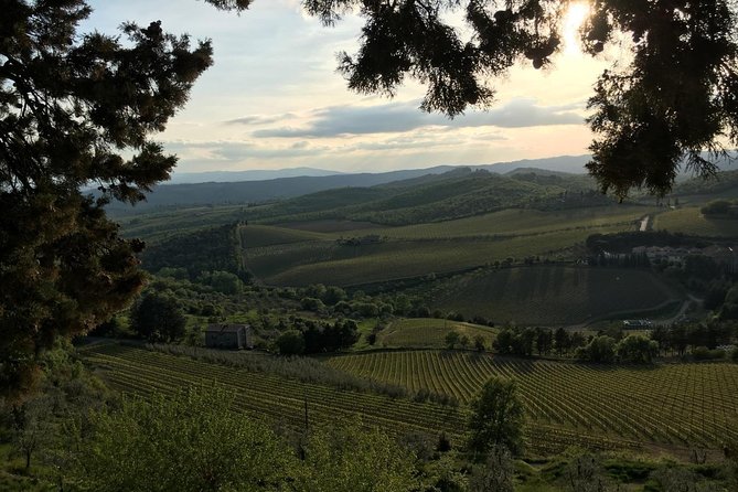Chianti Wine Tour - Private Wine Experience in Tuscany Countryside - Greve: Gateway to Chianti