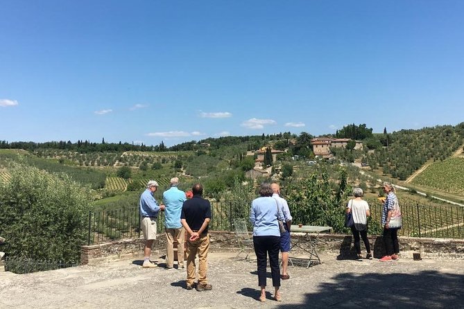 Chianti Wine Tour - Private Wine Experience in Tuscany Countryside - Chianti Winery Visit