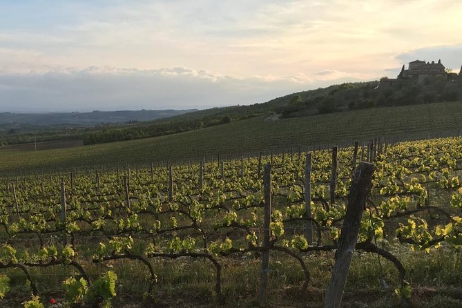 Chianti Wine Tour - Private Wine Experience in Tuscany Countryside - Indulge in Tuscan Cuisine