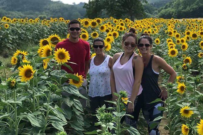 Chianti Wine Tour With Tuscan Lunch, Visit to S.Gimignano and Organic Wineries - Traveler Photos