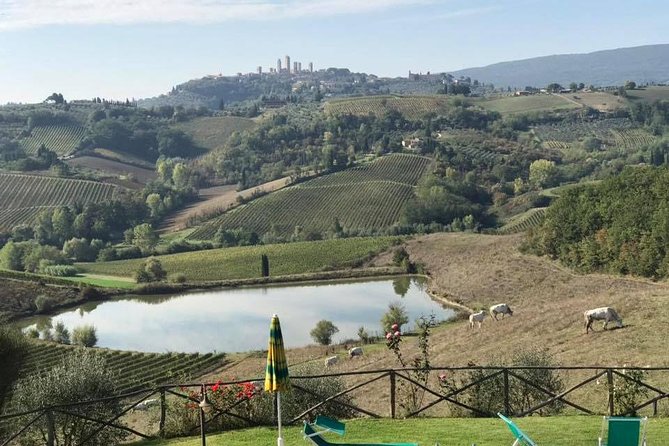 Chianti Wine Tour With Tuscan Lunch, Visit to S.Gimignano and Organic Wineries - Tips for a Memorable Experience