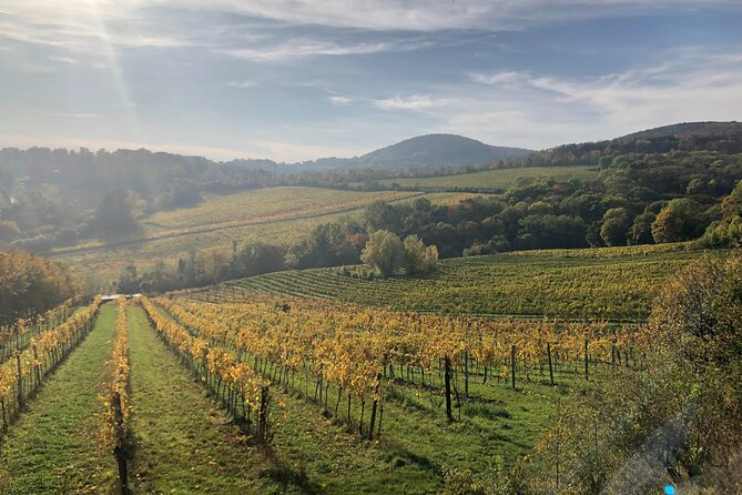 Chianti Wine Van Tour With 2 Wineries Visits - The Sum Up