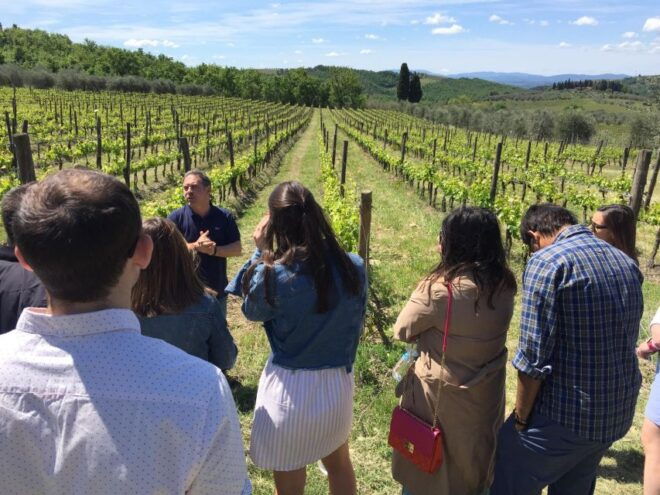 Chianti Winery Visit: Wine Journey From Vineyard to Bottle - Important Information