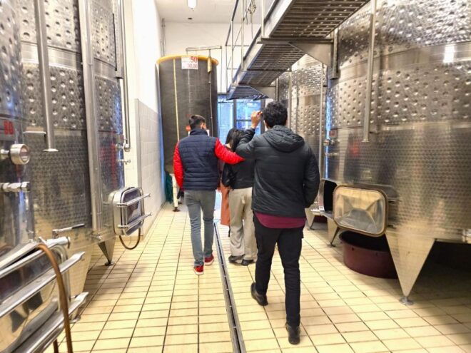 Chianti Winery Visit: Wine Journey From Vineyard to Bottle - Customer Reviews