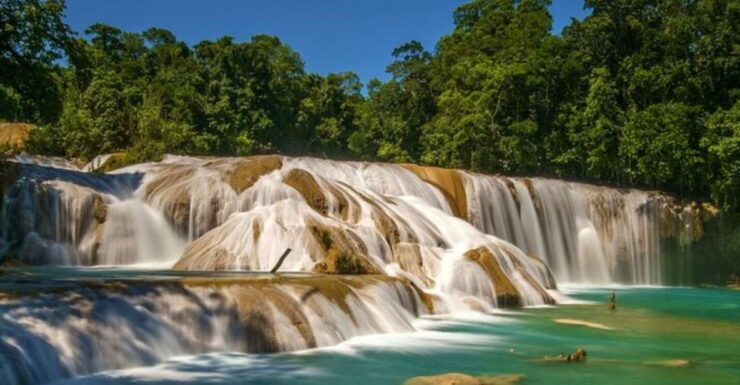 Chiapas: Agua Azul, Misol-Ha & Palenque Tour - Activity Details