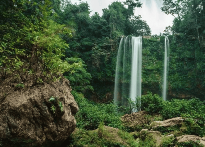 Chiapas: Blue Water - Misol-Ha Palenque Adventure - Activities and Experiences