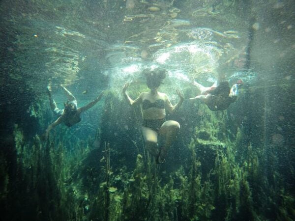 Chiapas: Chucumaltik Cenote SUP Paddleboard and Snorkeling - Gear and Essentials for the Excursion