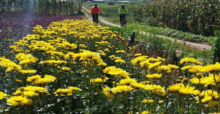 Chiapas: Discover the Magic on Bike Tour - Good To Know