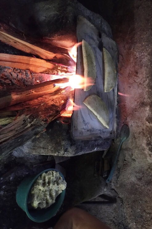 Chiapas Highlands: Ancient Rituals and Traditions Tour - Booking Information