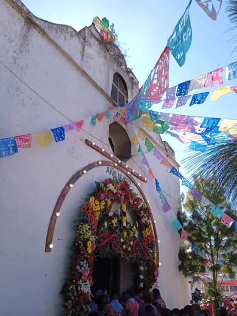 Chiapas Highlands: Ancient Rituals and Traditions Tour - Transportation and Guidance
