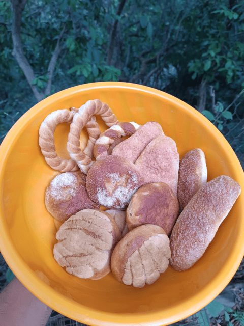 Chiapas: Immersive Zoque Culinary Experience - Activity Description