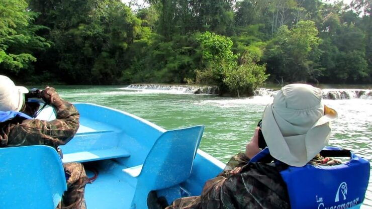 Chiapas: Private Nature Tour 4 Days and 3 Nights - Good To Know