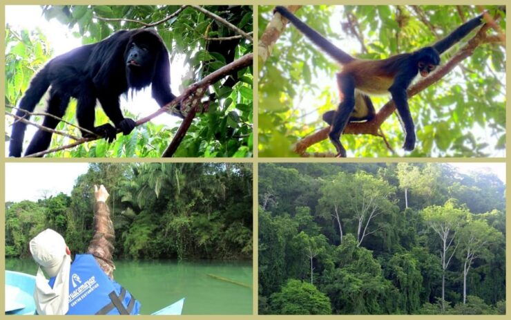 Chiapas: Private Nature Tour 4 Days and 3 Nights - Inclusions