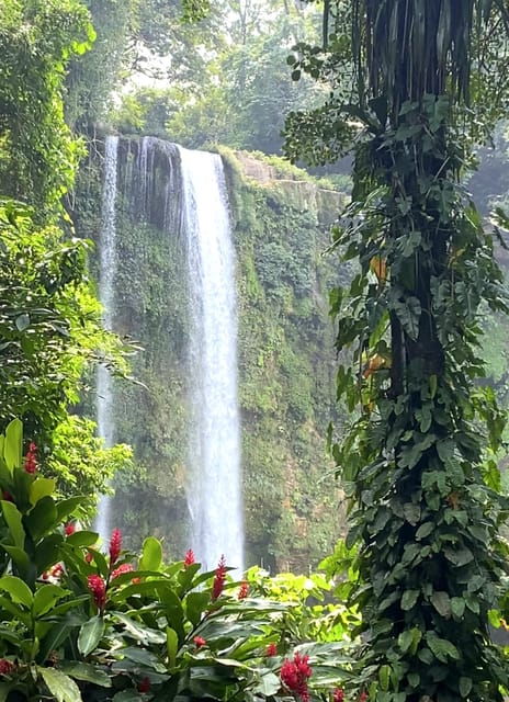 Chiapas: Private Nature Tour 4 Days and 3 Nights - Important Information and Recommendations