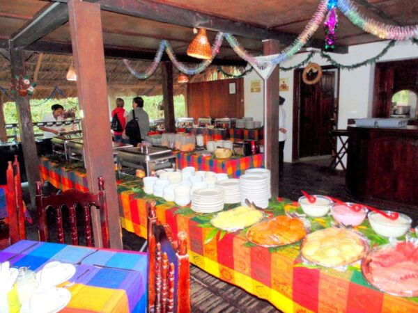 Chiapas: Private Nature Tour 4 Days and 3 Nights - Activity Descriptions
