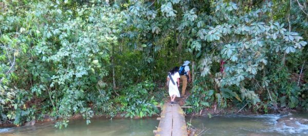 Chiapas: Private Nature Tour and Adventure 5 Days - 4 Nights - Rafting and Jungle Activities
