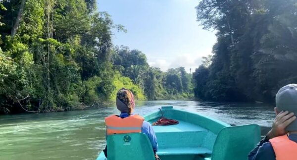 Chiapas: Private Nature Tour and Adventure 5 Days - 4 Nights - Accommodation and Lodging