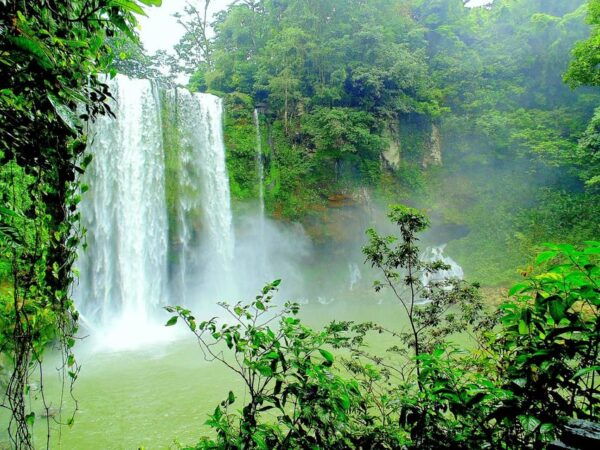 Chiapas: Private Nature Tour and Adventure 5 Days - 4 Nights - Frequently Asked Questions