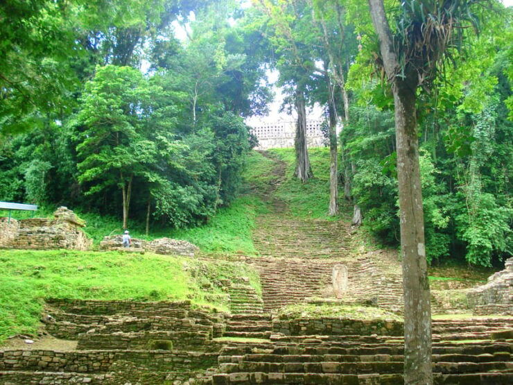 Chiapas: Tour 5 Days 4 Nights Includes Bonampak and Yaxchilan - Good To Know
