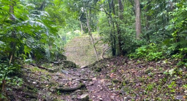 Chiapas: Tour 5 Days 4 Nights Includes Bonampak and Yaxchilan - Cancellation and Payment Options