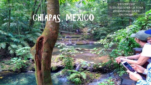 Chiapas: Tour 5 Days 4 Nights Includes Bonampak and Yaxchilan - Additional Information