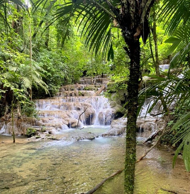 Chiapas: Tour 6 Days 5 Nights Rafting and Cabin in the Jungle - Included Services