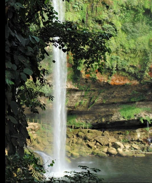 Chiapas: Tour 6 Days 5 Nights Rafting and Cabin in the Jungle - Experience and Exploration
