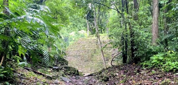 Chiapas: Tour 6 Days 5 Nights Rafting and Cabin in the Jungle - Rafting on Lacanja River