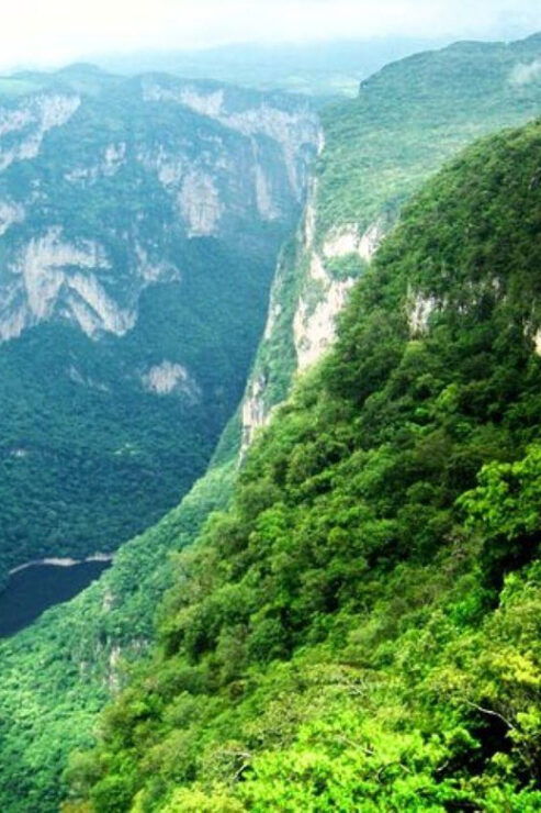 Chiapas: Tradition, Gastronomy, and Sumidero Canyon - Good To Know