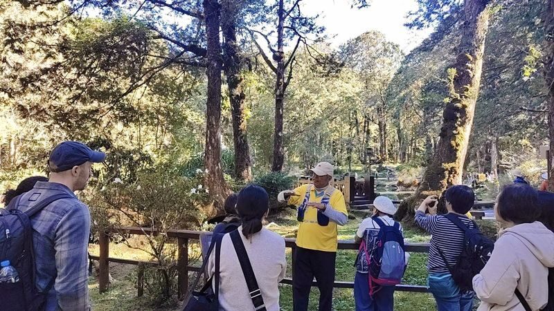 Chiayi: Alishan Day Tour (Departing from Taichung / Chiayi / Kaohsiung) - The mountain road is part of the day