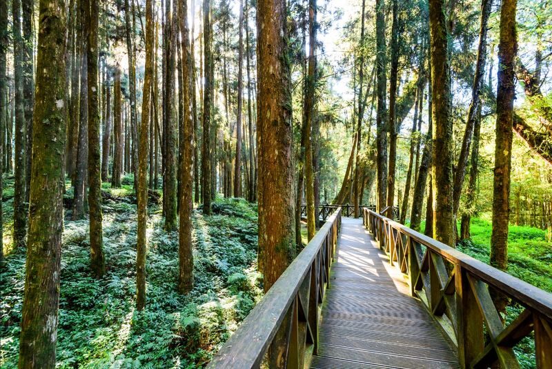 Chiayi: Alishan Day Tour (Departing from Taichung / Chiayi / Kaohsiung) - The railway and shuttle: worthwhile extras, not included