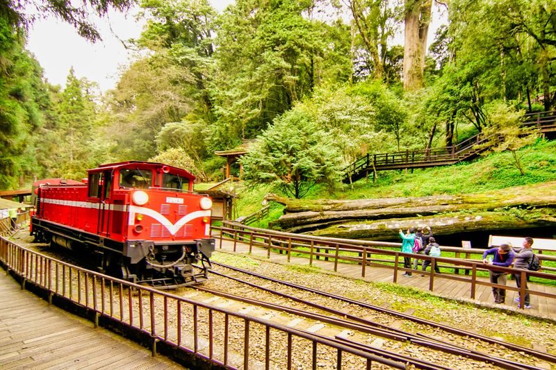 Chiayi: Alishan Day Tour (Departing from Taichung / Chiayi / Kaohsiung) - Who should book this Alishan tour?