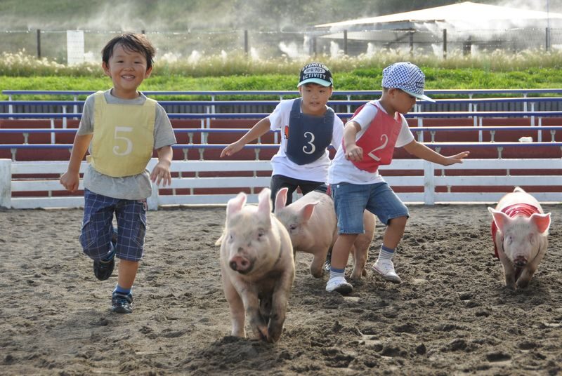 Chiba Mother Farm Ticket Tokyo - Give the day more time than the minimum